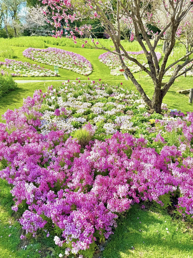 Yokohama’s Hidden Flower Paradise: Satoyama Garden 🌸🌼