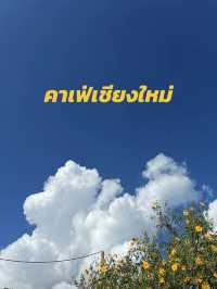 มัดรวมคาเฟ่เชียงใหม่ 