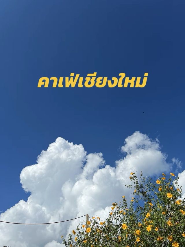มัดรวมคาเฟ่เชียงใหม่ 