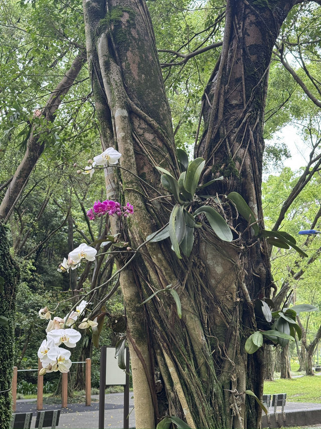 台北｜公園一日遊指南