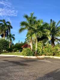 A Green Oasis of History and Community