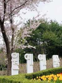 Wonye Arts Village: A Horticultural Haven 