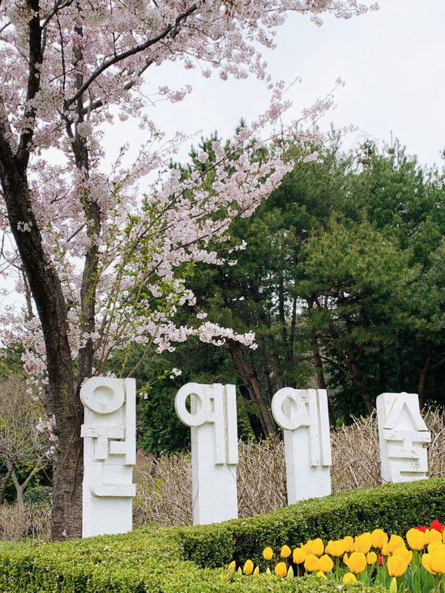 Wonye Arts Village: A Horticultural Haven 