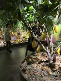 “Sweet Memories and Family Bonds at ROYCE’ Chocolate Factory in Tobetsu, Hokkaido, Japan”