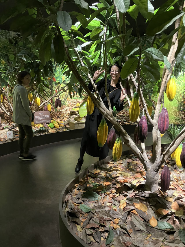 “Sweet Memories and Family Bonds at ROYCE’ Chocolate Factory in Tobetsu, Hokkaido, Japan”
