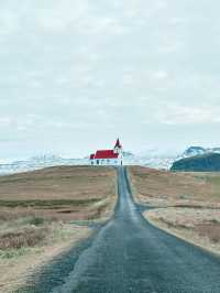 Seals, Soup & Snæfellsnes Wonders – A Magical Day 8 in Iceland!🇮🇸