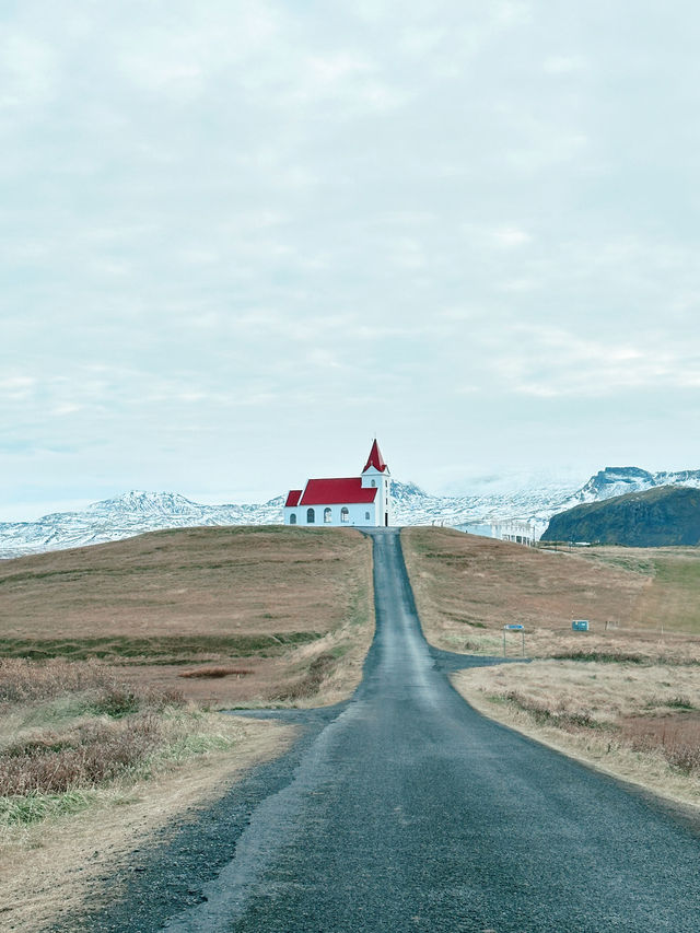 Seals, Soup & Snæfellsnes Wonders – A Magical Day 8 in Iceland!🇮🇸