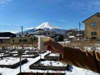 Fuji San