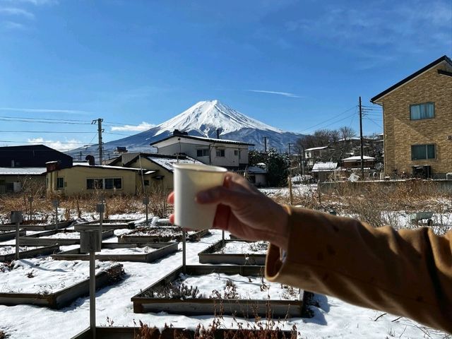 Fuji San