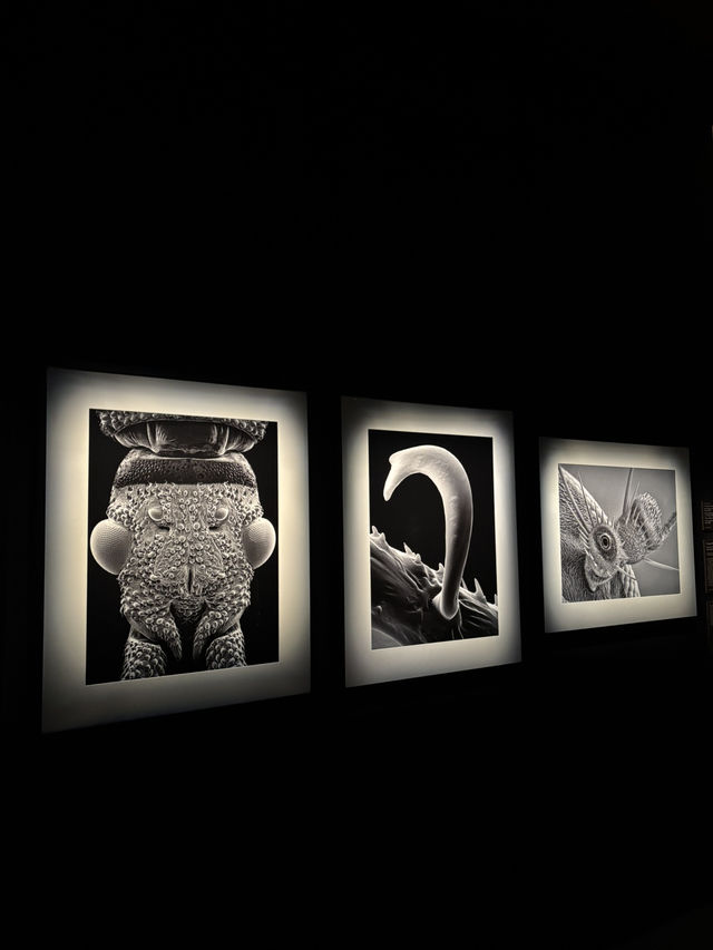 Spend 6 Hours in London’s Galleries 🏴󠁧󠁢󠁥󠁮󠁧󠁿
