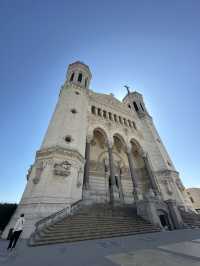 Lyon(ลียง) 
