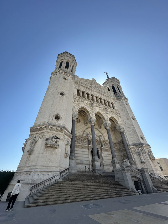 Lyon(ลียง) 