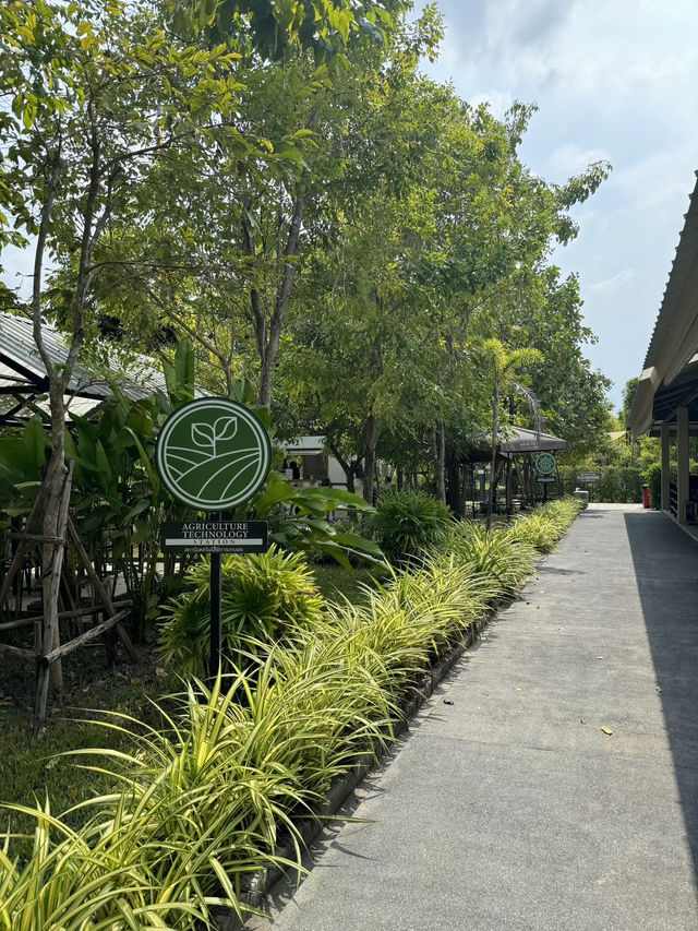 แบบนี้อยู่ได้ทั้งวัน @อรุณฟาร์มวิลเลจ 🌱