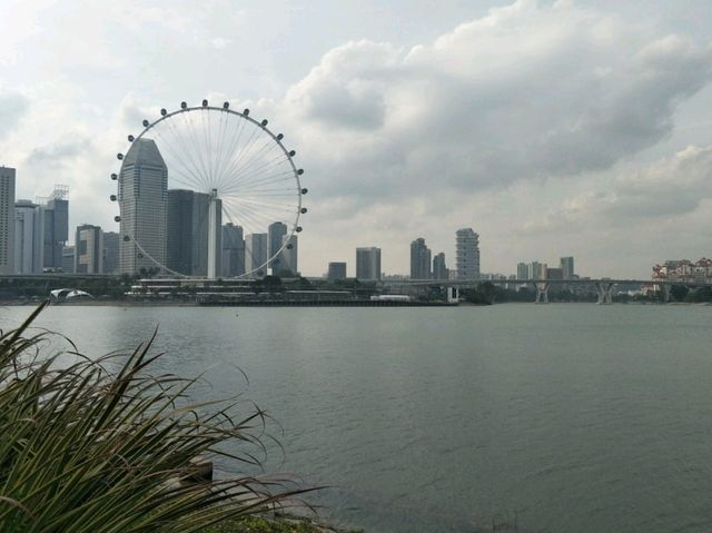 #濱海灣花園Gardens By The Bay-新加坡