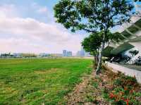 🌿【自然綠洲】輕軌旁的秘密基地——前鎮公園