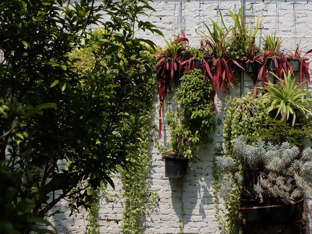  ร้าน Farm to Table Hideout  ร้านลึกลับใจกลางกรุง
