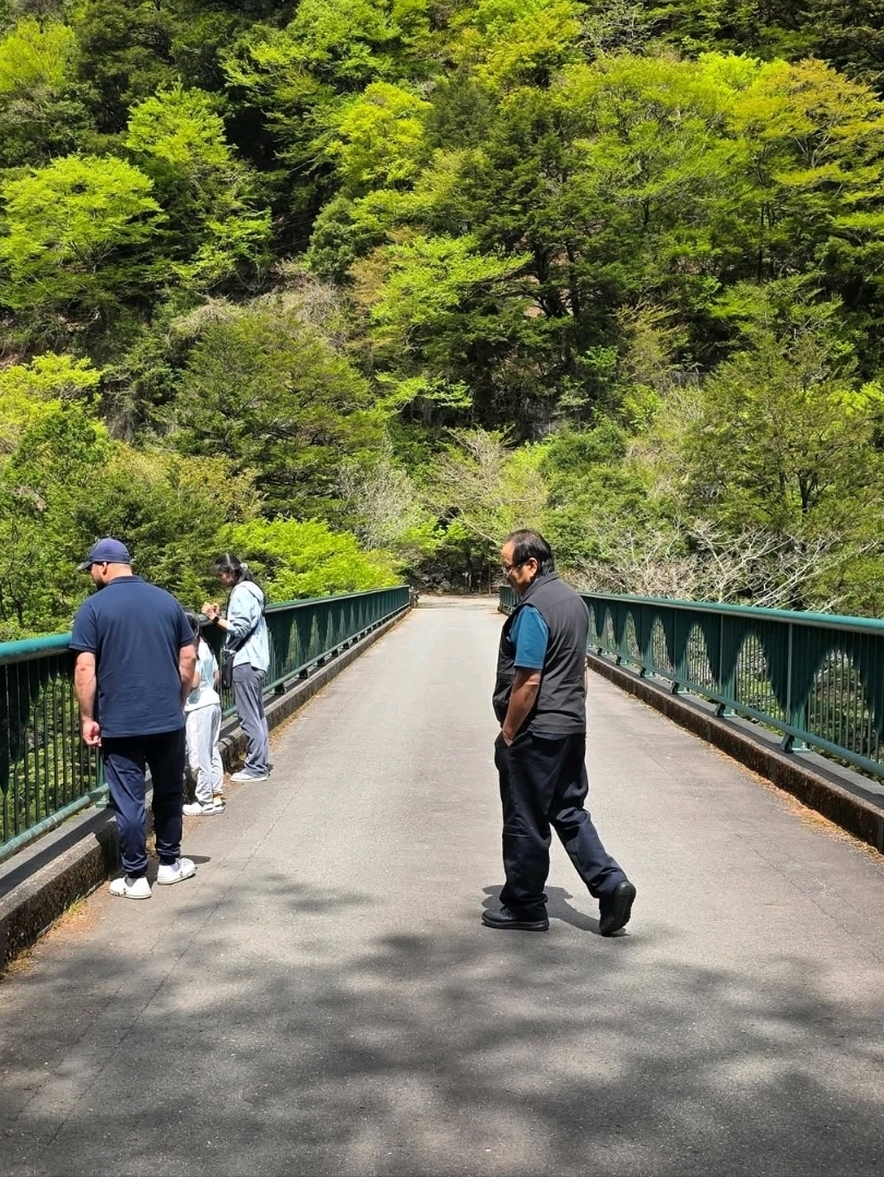 The Dream Bridge That's Kinda Scary (But Worth It) | Trip.com