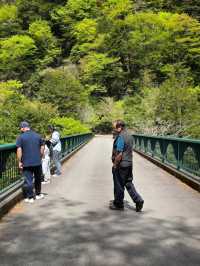 The Dream Bridge That’s Kinda Scary (But Worth It)