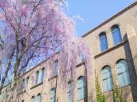 “The Scholar’s Garden: Hokkaido University in Bloom” 