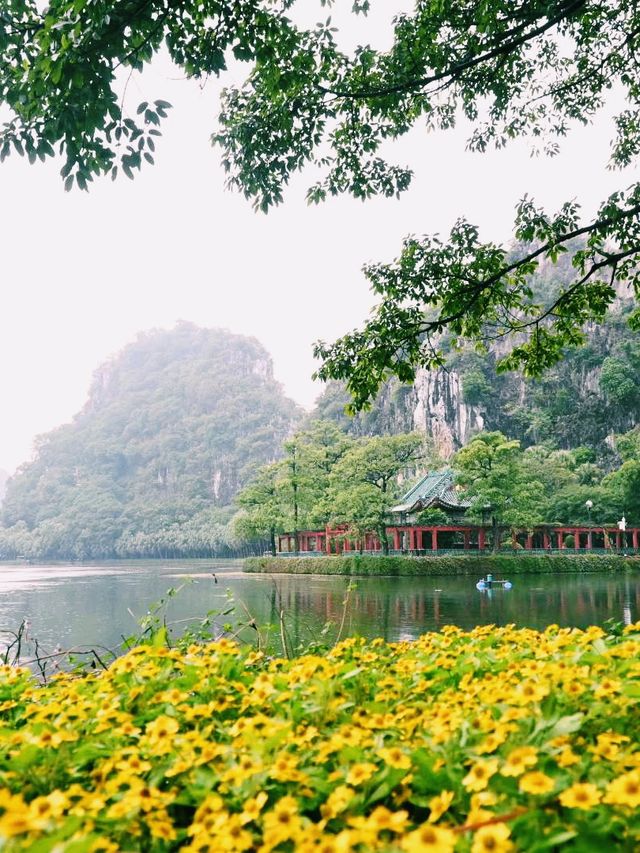 中國廣東肇慶旅行攻略，適合打卡拍照📸