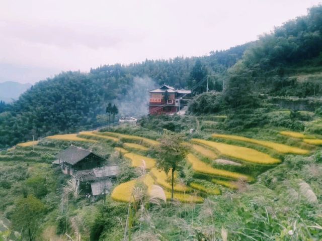 中國湖南婁底新化著名景點：紫鹊界梯田，適合打卡拍照📸
