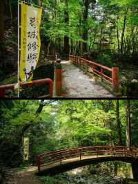 Hidden Hiking Gem Near Osaka – Inunaki-yama Day Trip Before Your Flight!