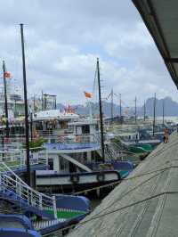 🇻🇳 Halong Bay – Part 2: Light, Stone, and Water — A Landscape That Changes You 🌊⛰
