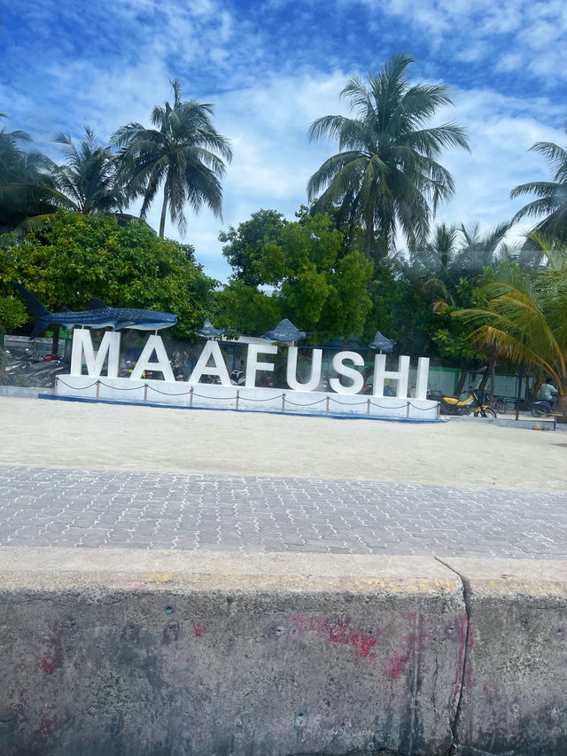 🇲🇻Maldives-Where dream becomes reality 