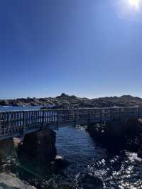 2D1N Margaret river can never be enough