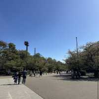 上野公園 (Ueno Park)