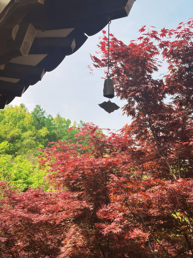 100년 전통한옥에서 특별한 메뉴를 자연과 즐겨보세요🍁
