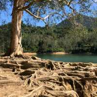 城門水塘（Shing Mun Reservoir）