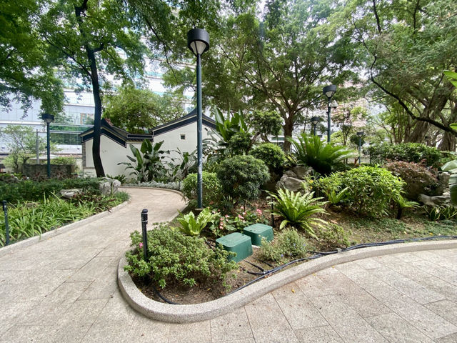 德華公園深度遊🌟 鬧市中的後花園🌷⛲️
