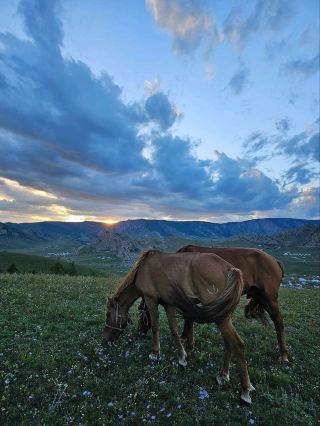 Traveling in Mongolia with the Great Outdoors