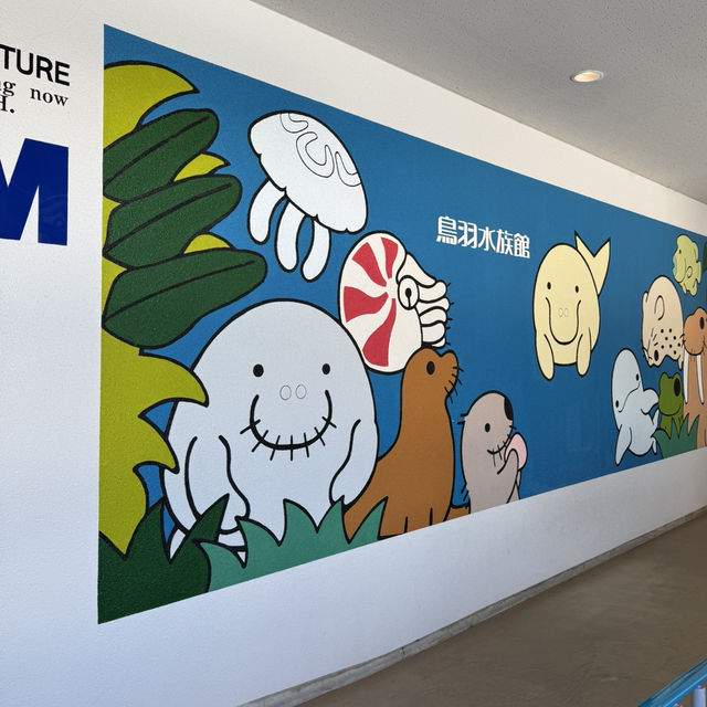 日本で唯一ラッコに会える水族館🦦ꕀ