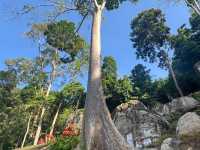 Bukit Baginda (King's Mountain) | Negeri Sembilan Hidden Gem