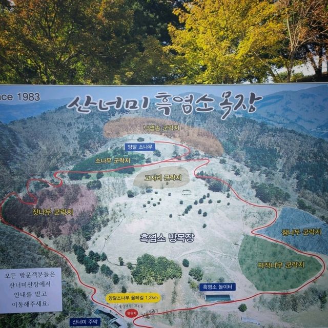 평창트레킹🧡산너미목장트레킹