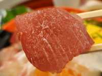 大阪遊客越來越多，不如放鬆去白濱和歌山三日遊