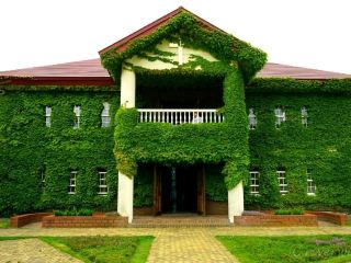 【北海道】日本最大級的英式庭園「Yuni Garden」
