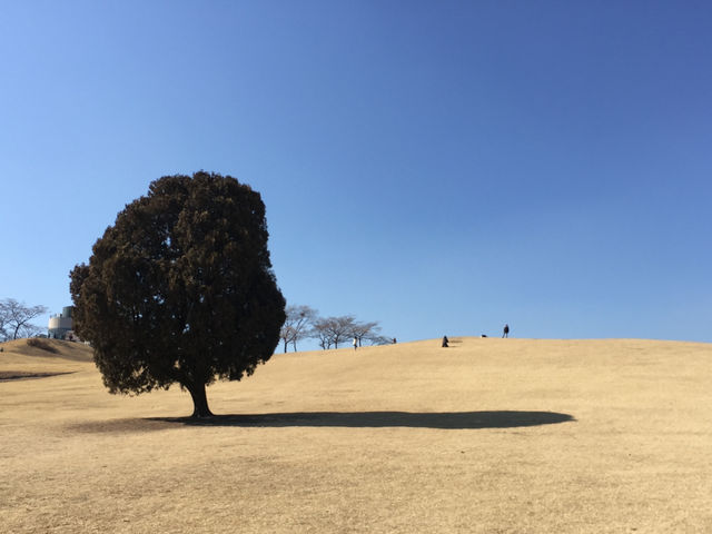 서울 쌈지길과 올림픽공원, 감성샷 추천 코스!