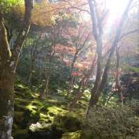 【京都】銀閣寺