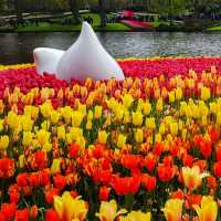Keukenhof: A Floral Wonderland for Every Flower Enthusiast