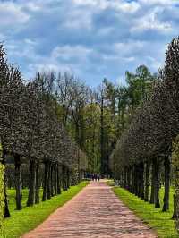 Catherine Palace – A Dazzling Jewel of Imperial Russia