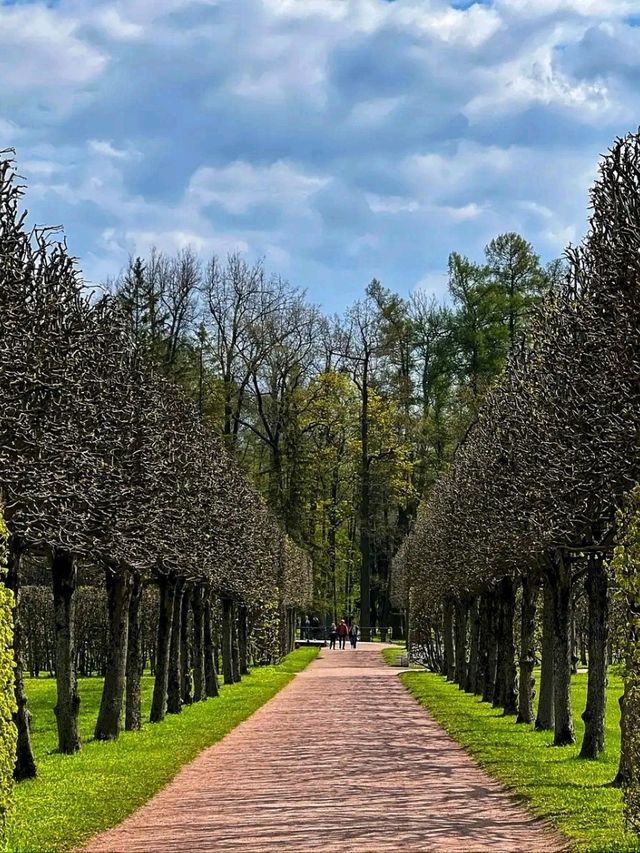 Catherine Palace – A Dazzling Jewel of Imperial Russia