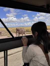 肯亞safari紀錄