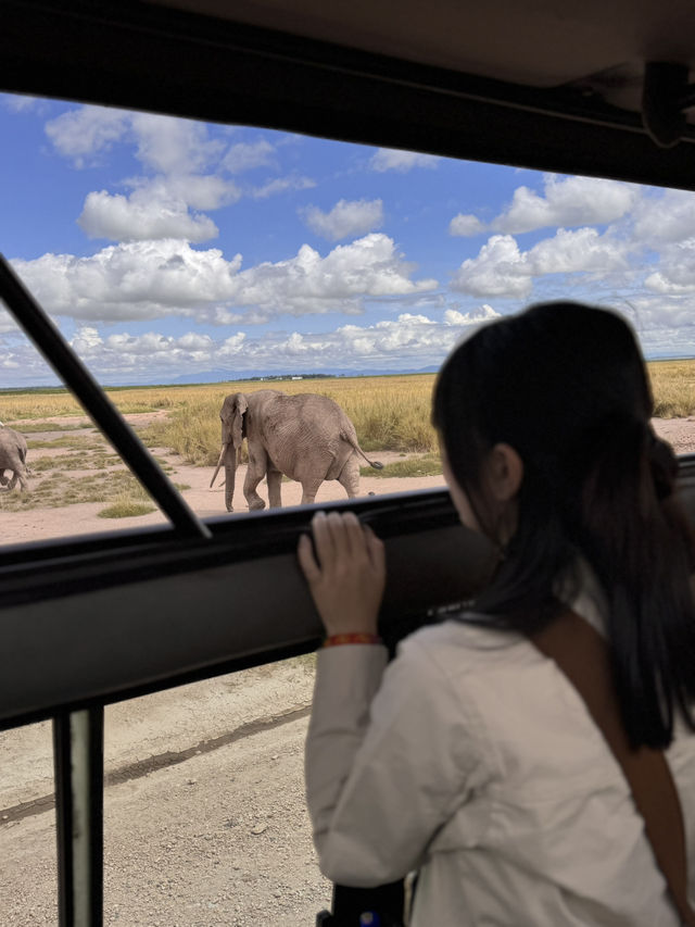 肯亞safari紀錄