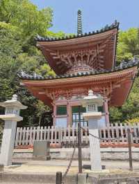 【兵庫/西宮】神を呪う寺…⛩️？！