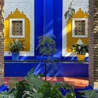 🌵✨ Jardin Majorelle: Marrakech’s Oasis of Art & Botanic Beauty