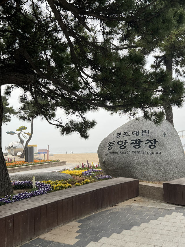 여름, 바다, 푸르름
