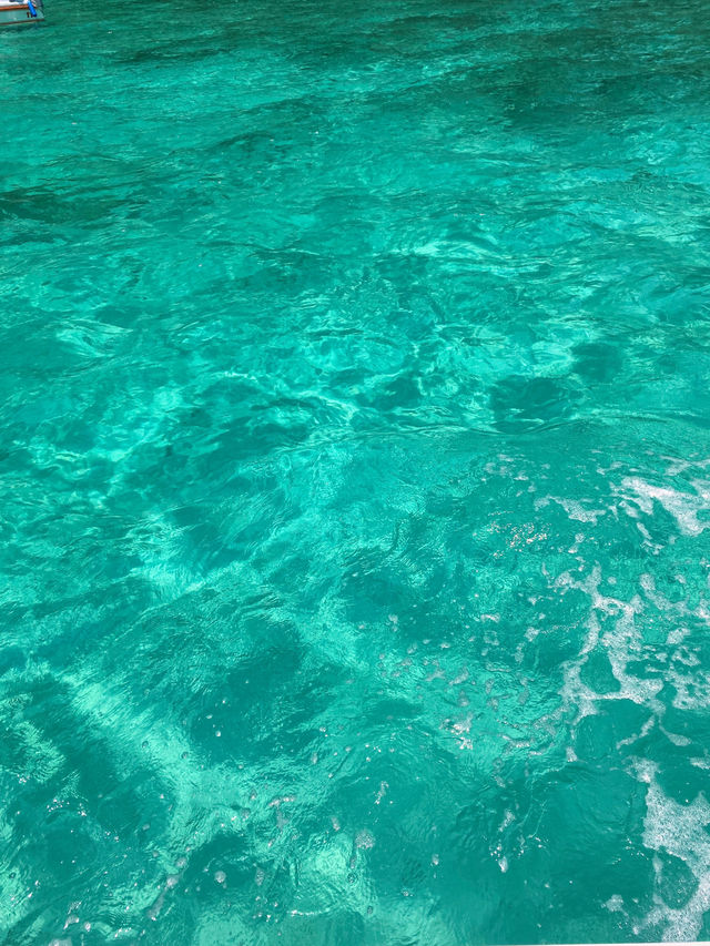 【ピピ島🇹🇭🐠】